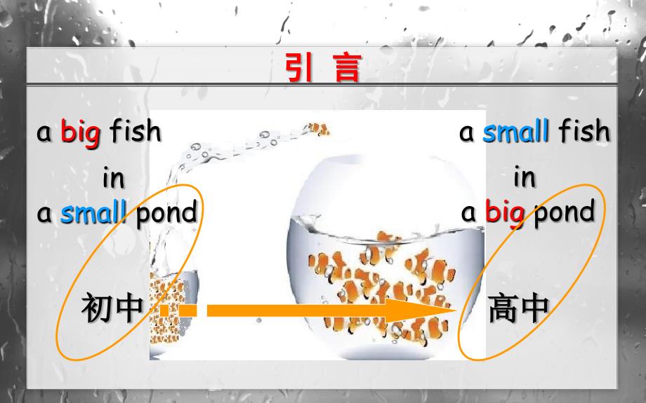 高一英语教学漫谈_第3页