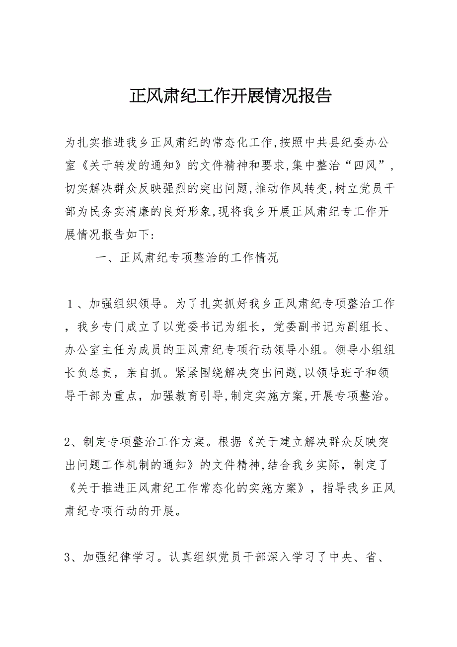 正风肃纪工作开展情况报告_第1页