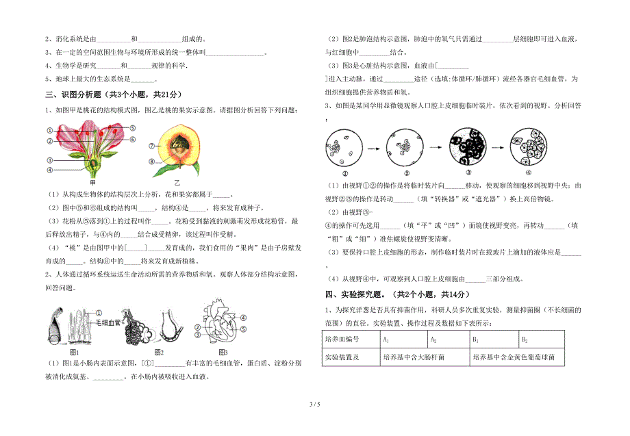 2023年苏教版七年级上册《生物》期末测试卷(精品).doc_第3页