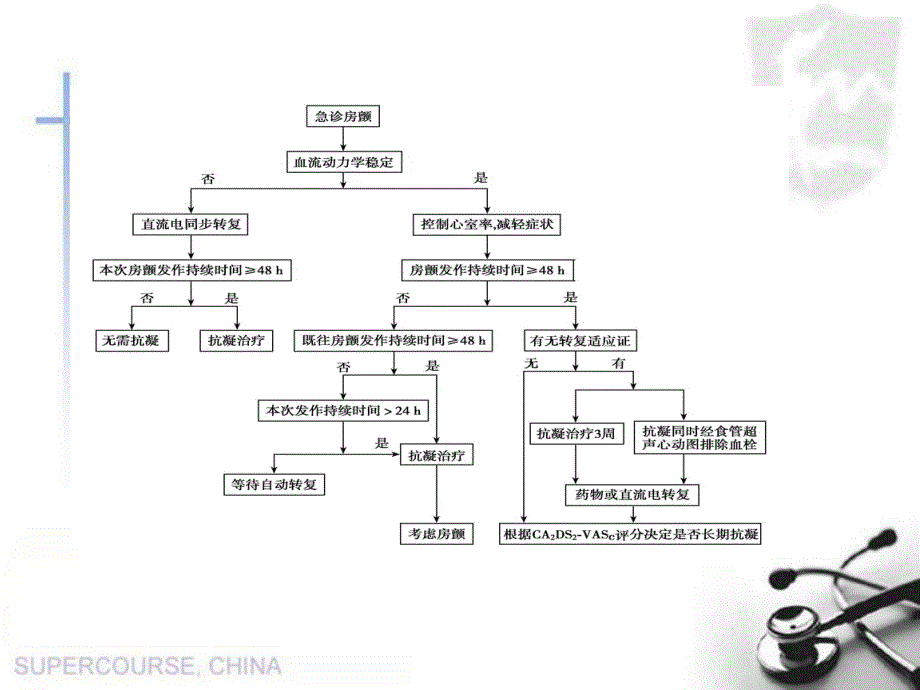 房颤的急诊处理修改后.ppt_第2页