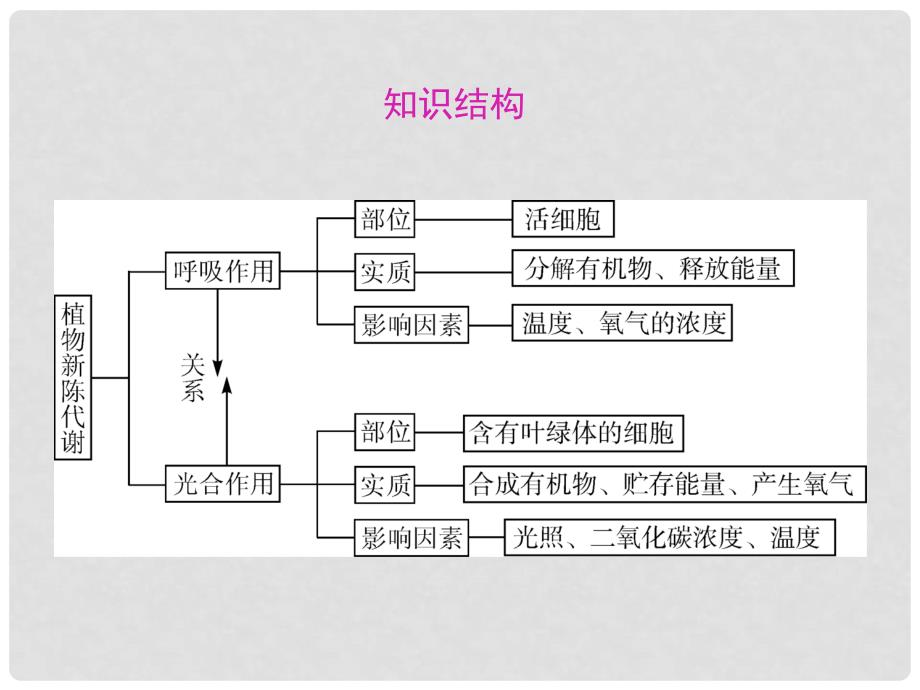 广东省深圳市福田云顶学校中考生物总复习 第4课 植物的新陈代谢1课件_第3页