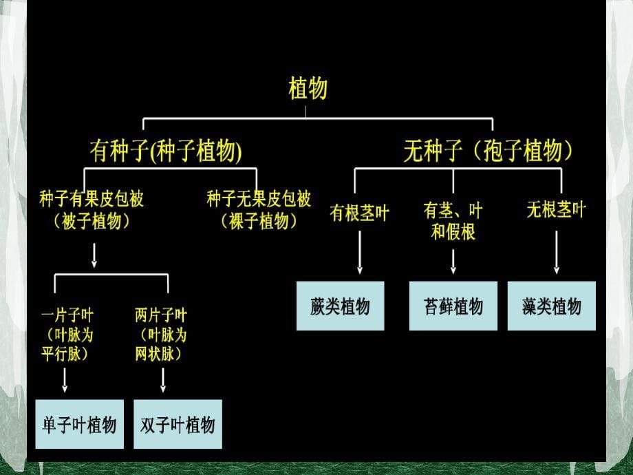 八年级上册第六单元复习_第5页