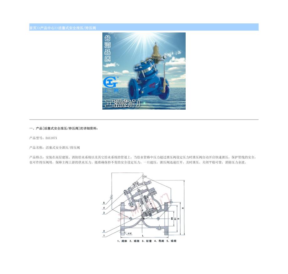 BAX107X活塞式安全泄压持压阀.doc_第1页