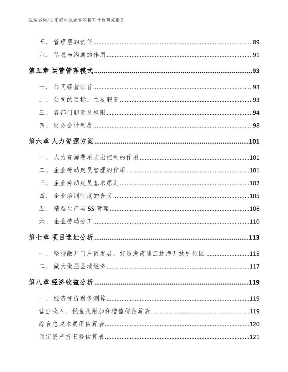 岳阳锂电池销售项目可行性研究报告_第5页