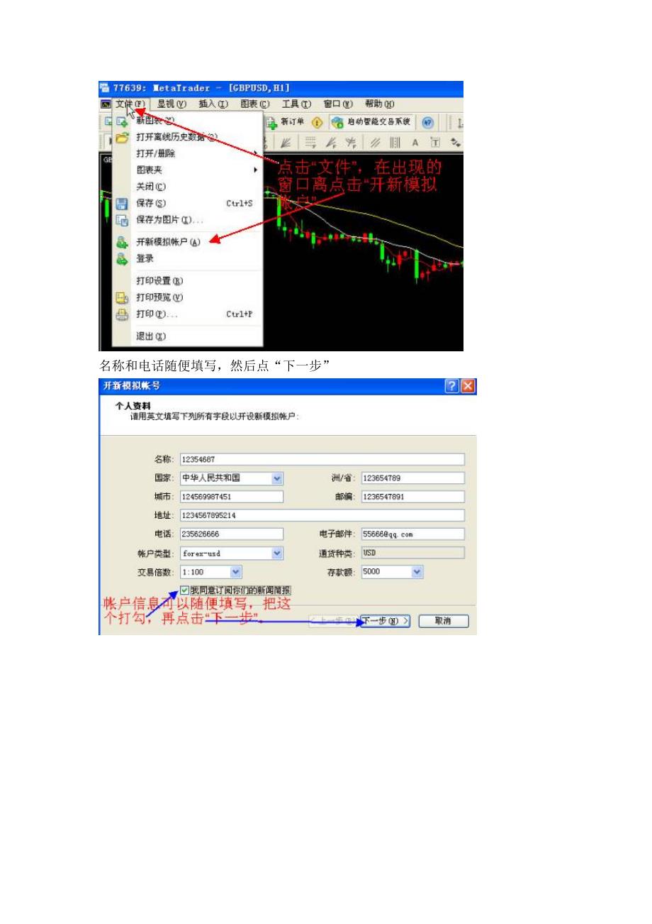 MT4平台基本操作介绍_第3页