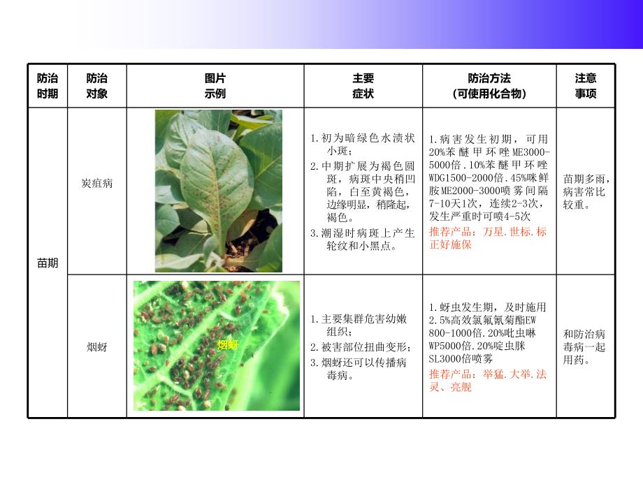 医学专题：烟草病虫害防治标_第3页