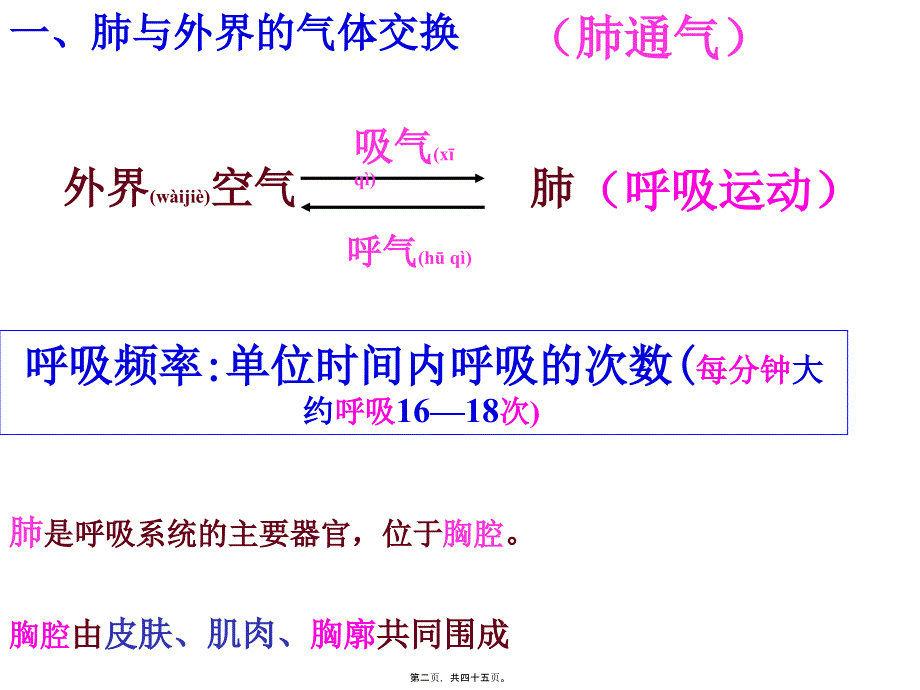 第二节发生在肺内的气体交换完成课件_第2页