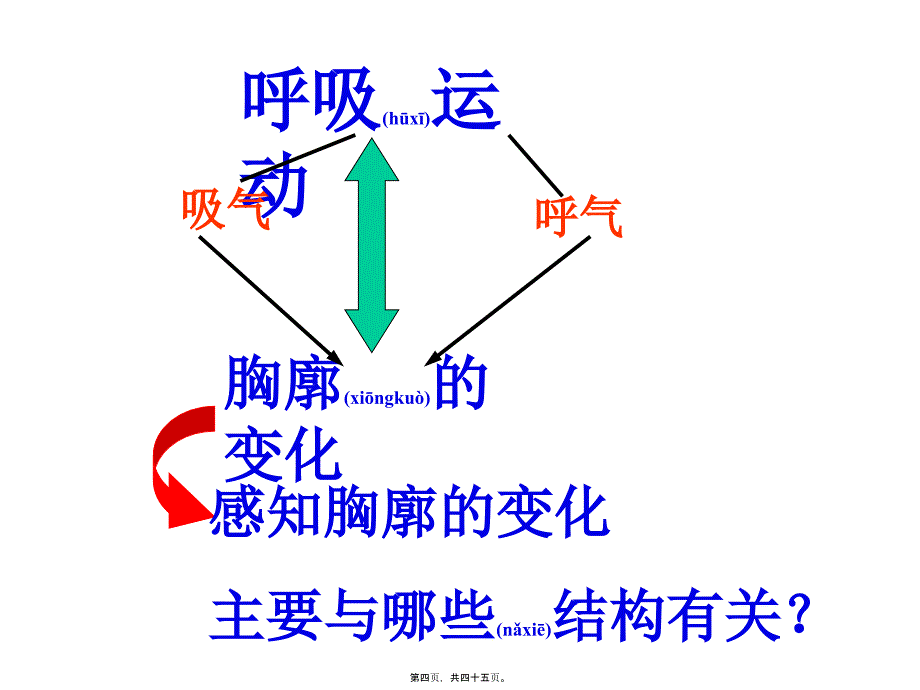 第二节发生在肺内的气体交换完成课件_第4页