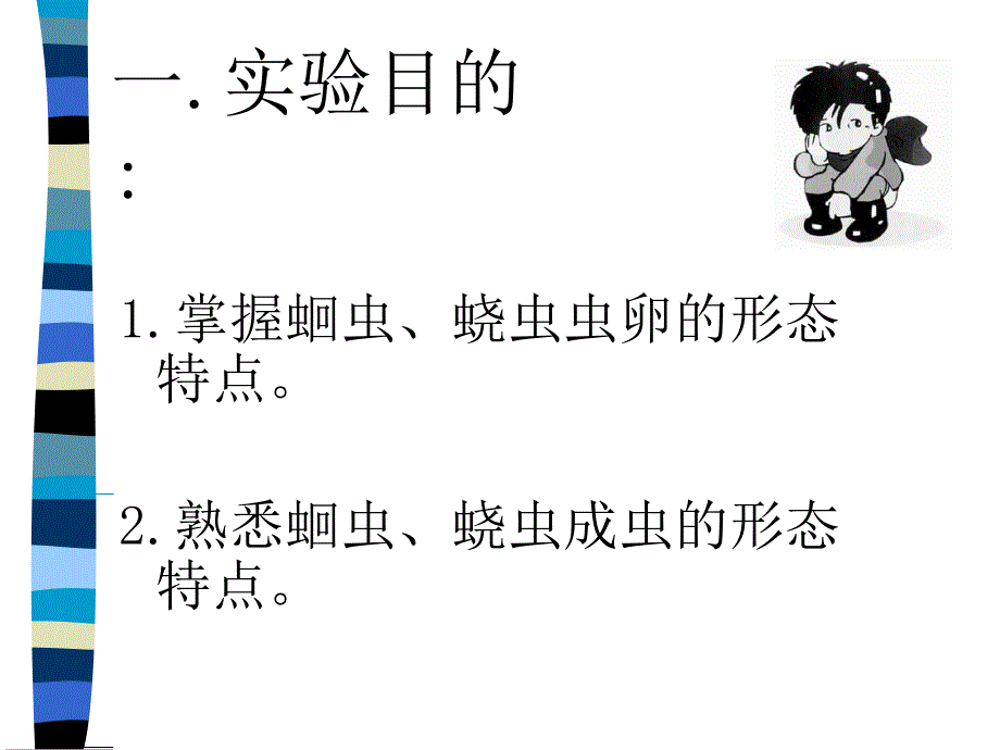 似引蛔线虫与蠕形住肠线虫_第2页