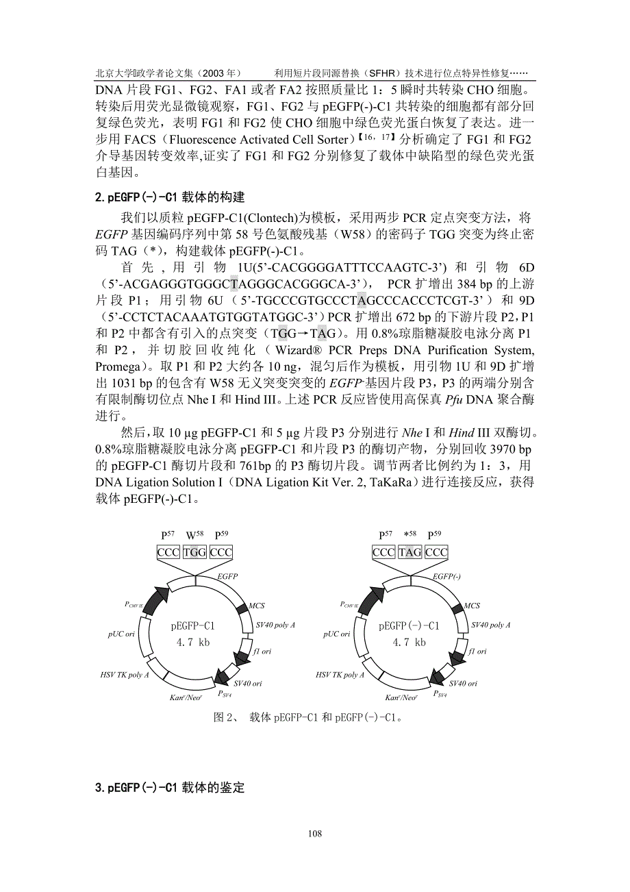 利用短片段同源替换(SFHR)技术进行位点特异修复CHO细胞中游离的.doc_第4页