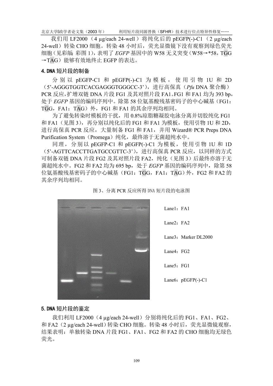 利用短片段同源替换(SFHR)技术进行位点特异修复CHO细胞中游离的.doc_第5页