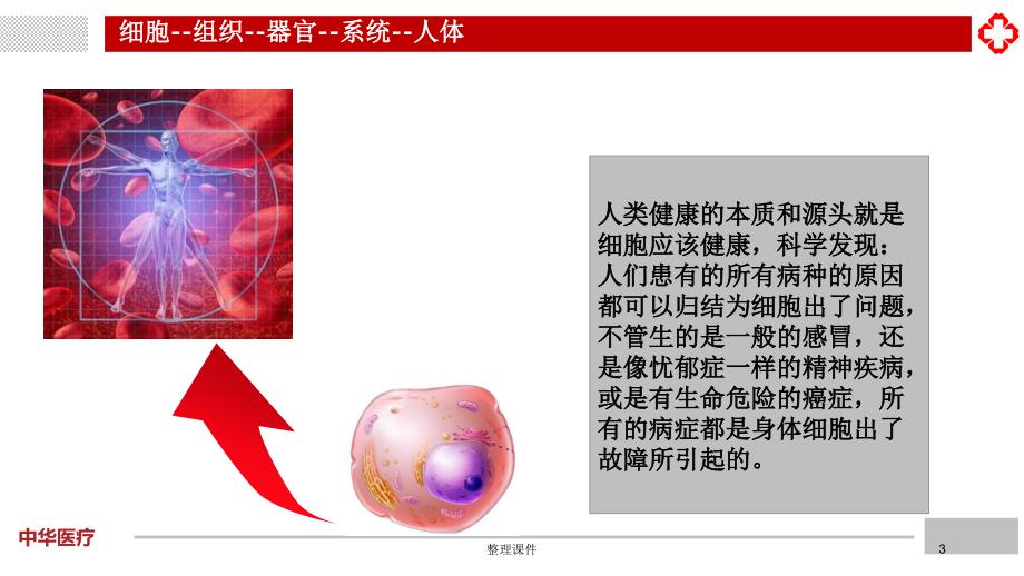 细胞健康的重要性1_第3页