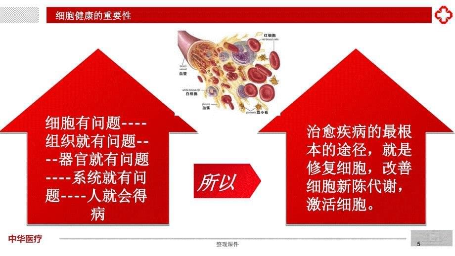 细胞健康的重要性1_第5页