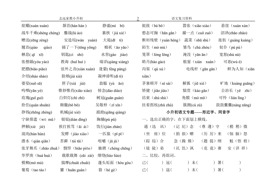 小升初语文基础知识练习_第2页