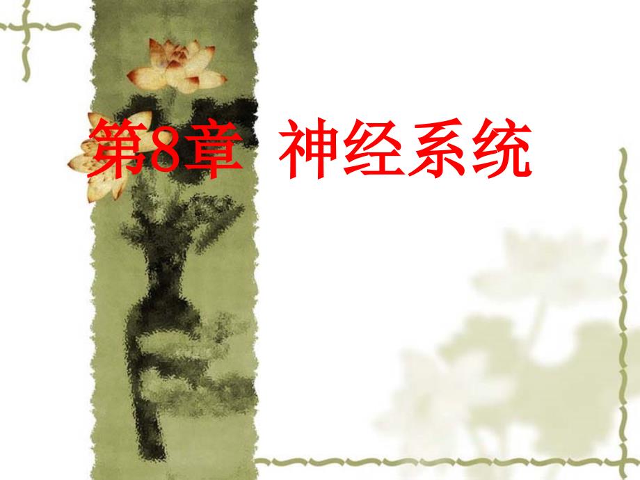 组织学与胚胎学：第8章 神经系统_第1页