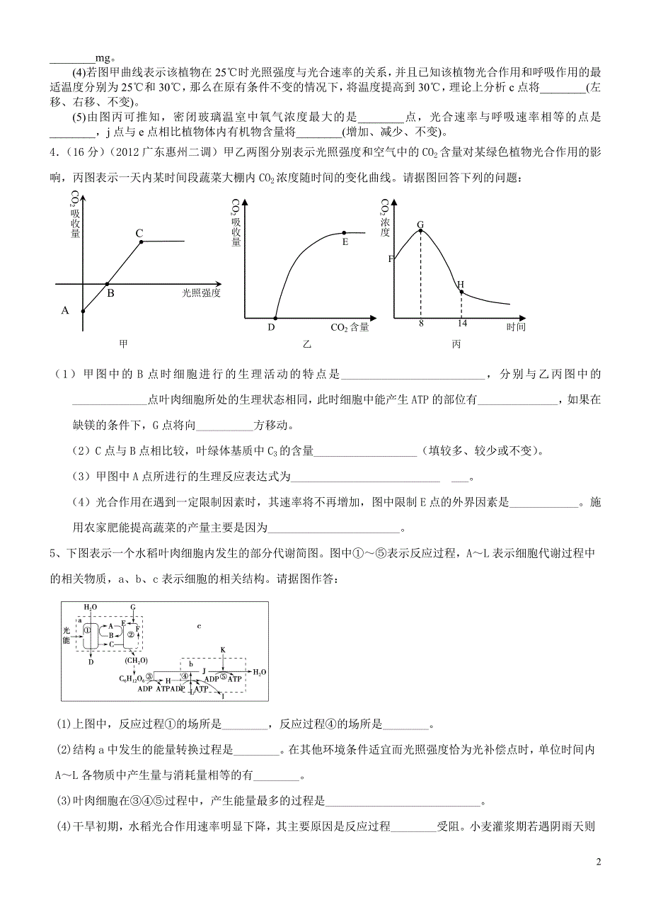 二轮专题之呼吸作用与光合作用.doc_第2页