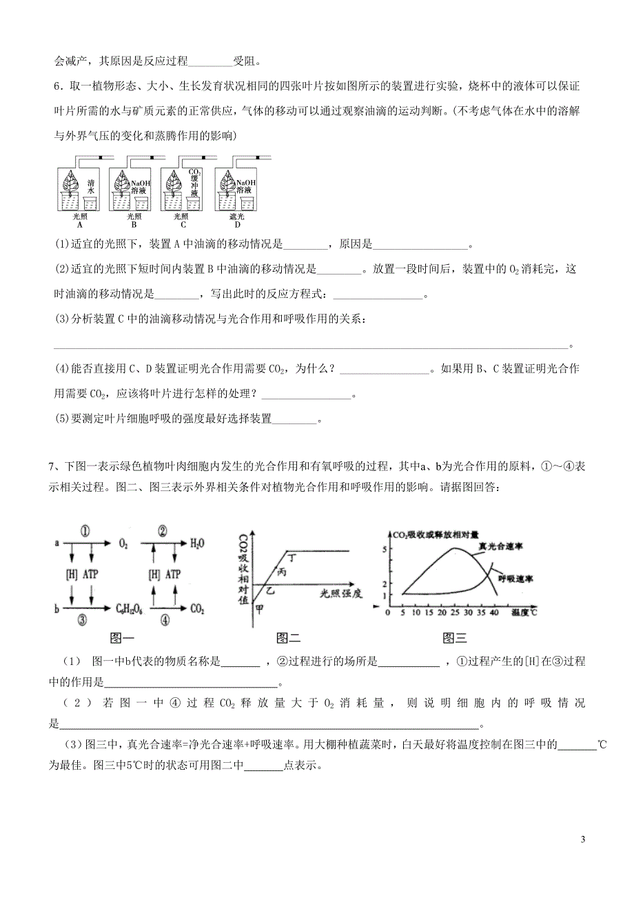 二轮专题之呼吸作用与光合作用.doc_第3页