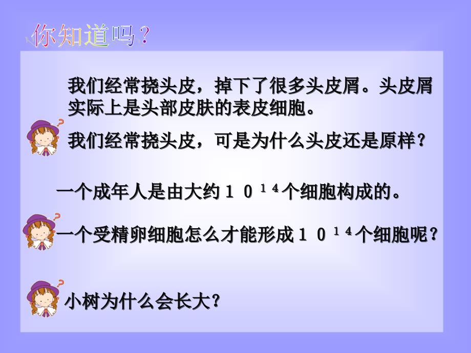 动物细胞的有丝分裂PPT课件_第1页