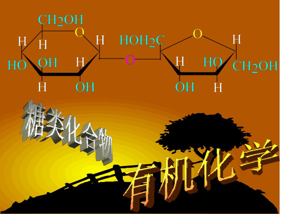 第十四章碳水化合物_第1页