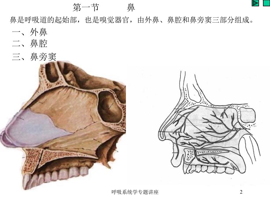 呼吸系统学专题讲座培训课件_第2页