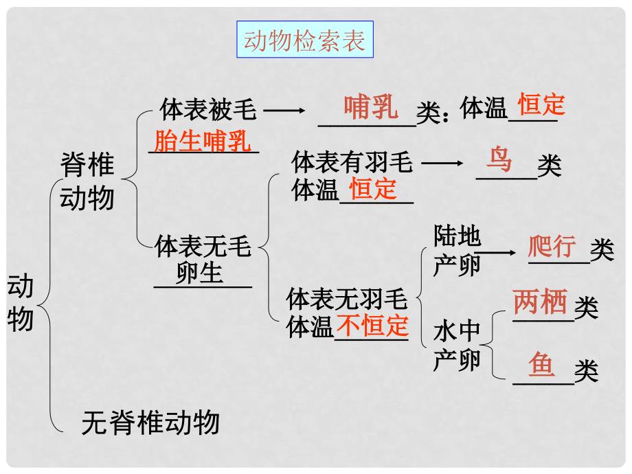 甘肃省会宁县新添回民中学八年级生物下册《生物的分类》课件 苏教版_第3页