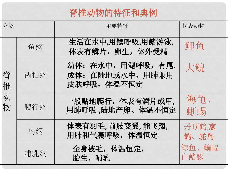 甘肃省会宁县新添回民中学八年级生物下册《生物的分类》课件 苏教版_第4页