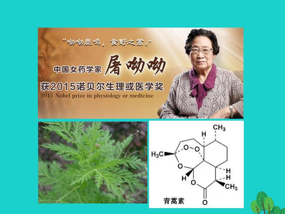 江苏省铜山县高中化学专题3有机化合物的获得与应用3.3.1简单有机物的合成4课件苏教版必修_第2页