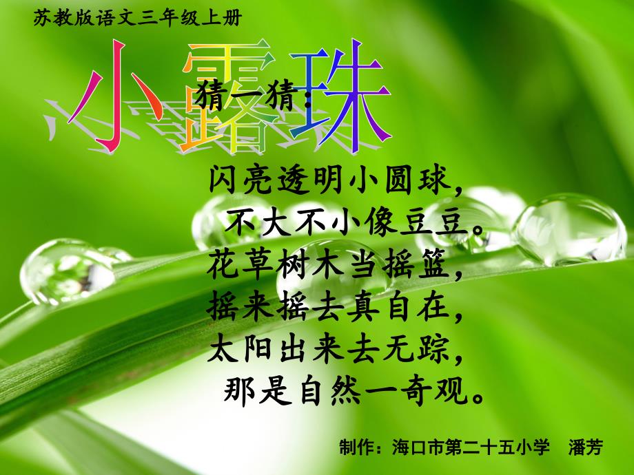 小露珠教学课件——潘芳_第1页