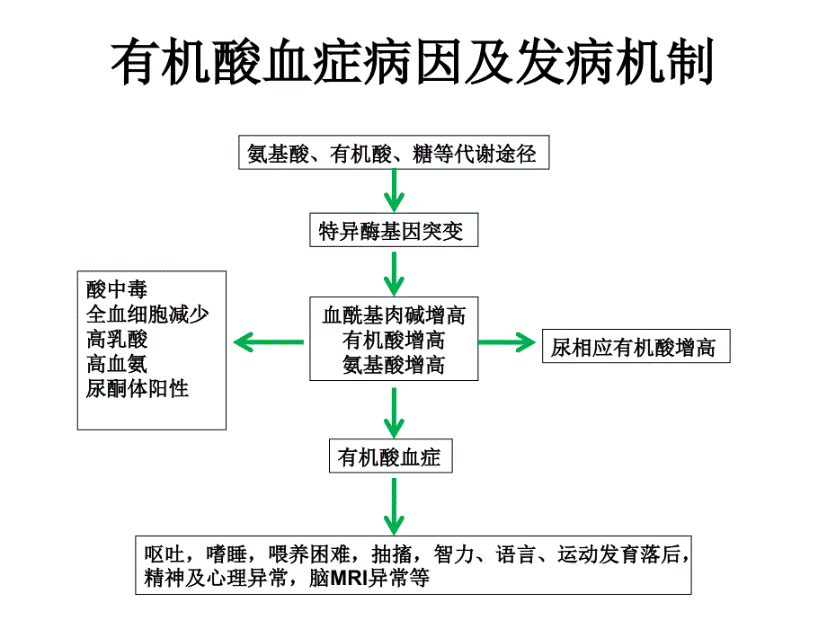 有机酸血症诊治进展_第4页