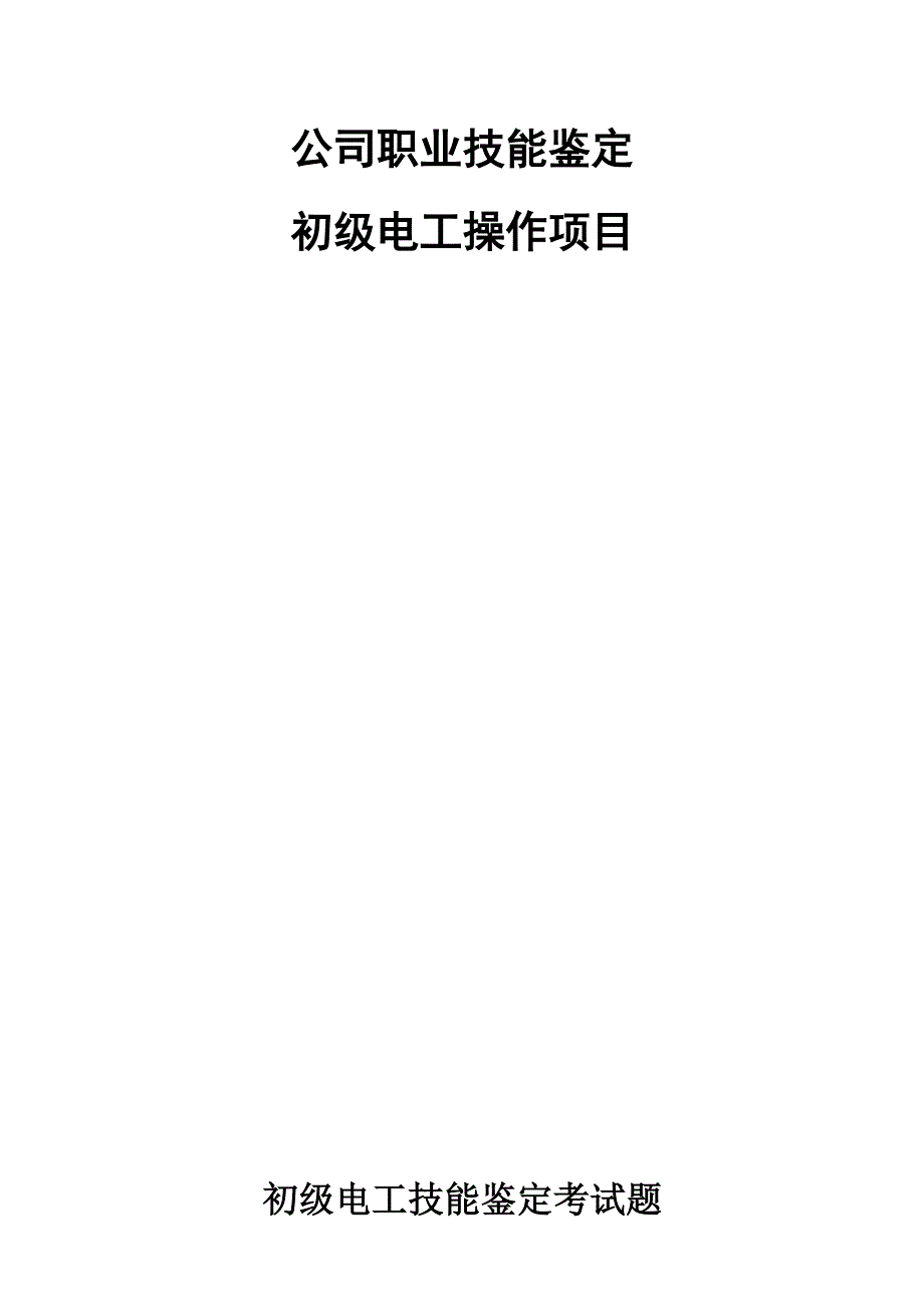 电工操作技能考核(初级)_第1页