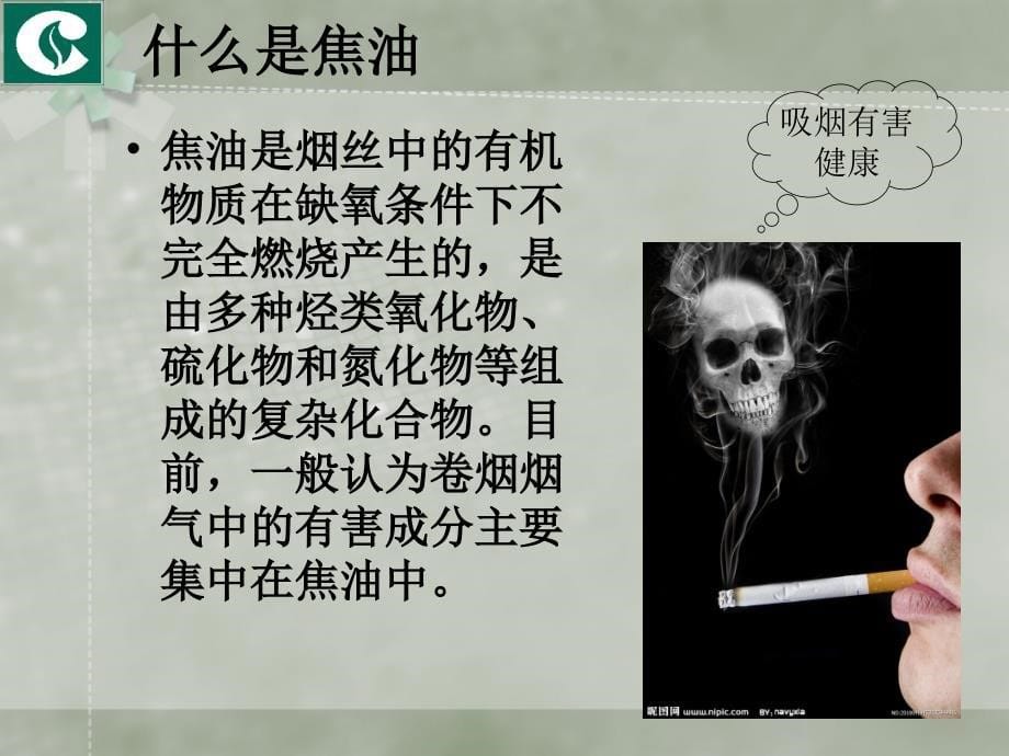 低焦油品牌的关注与培育.ppt_第5页