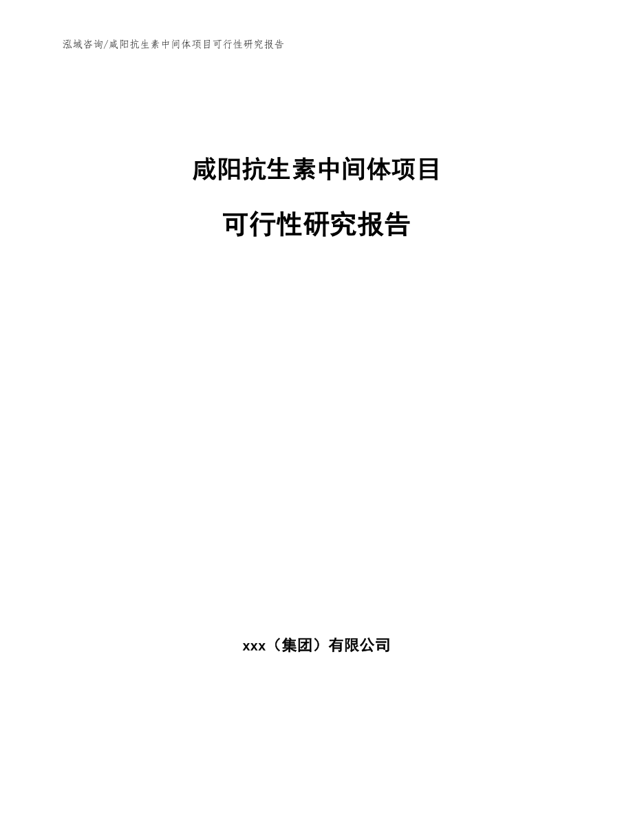 咸阳抗生素中间体项目可行性研究报告_模板_第1页