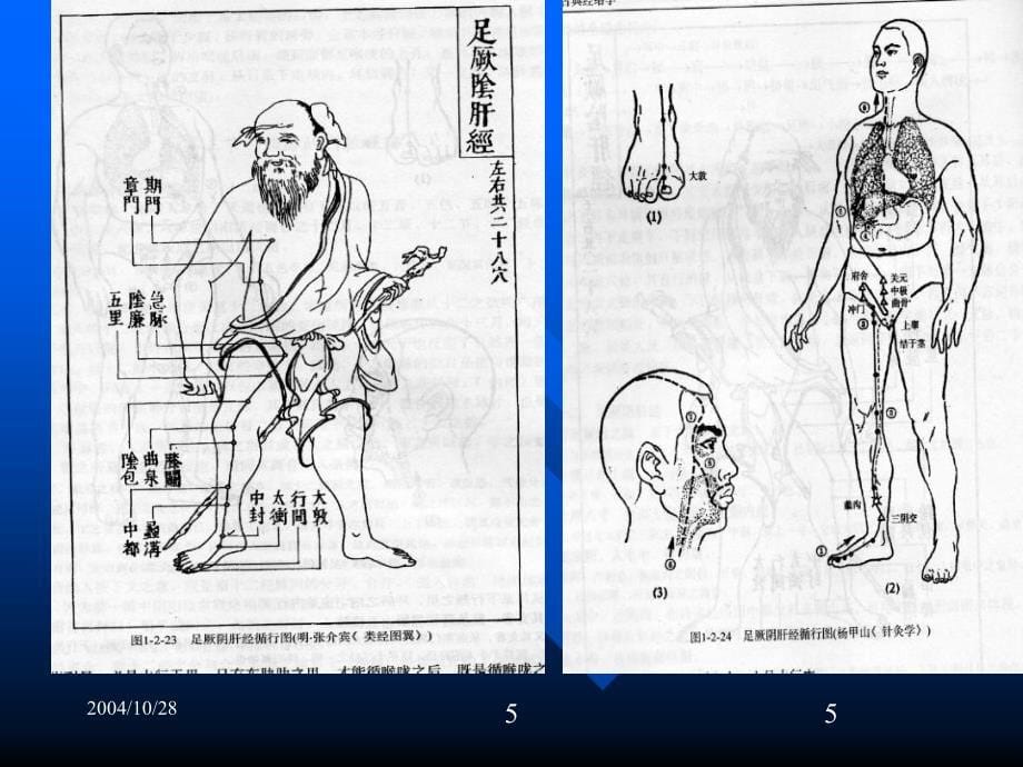 dd第四章肝胆病证参考PPT_第5页