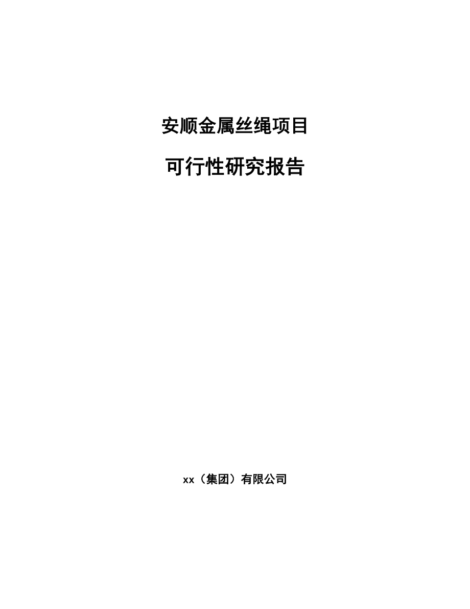 安顺金属丝绳项目可行性研究报告_第1页