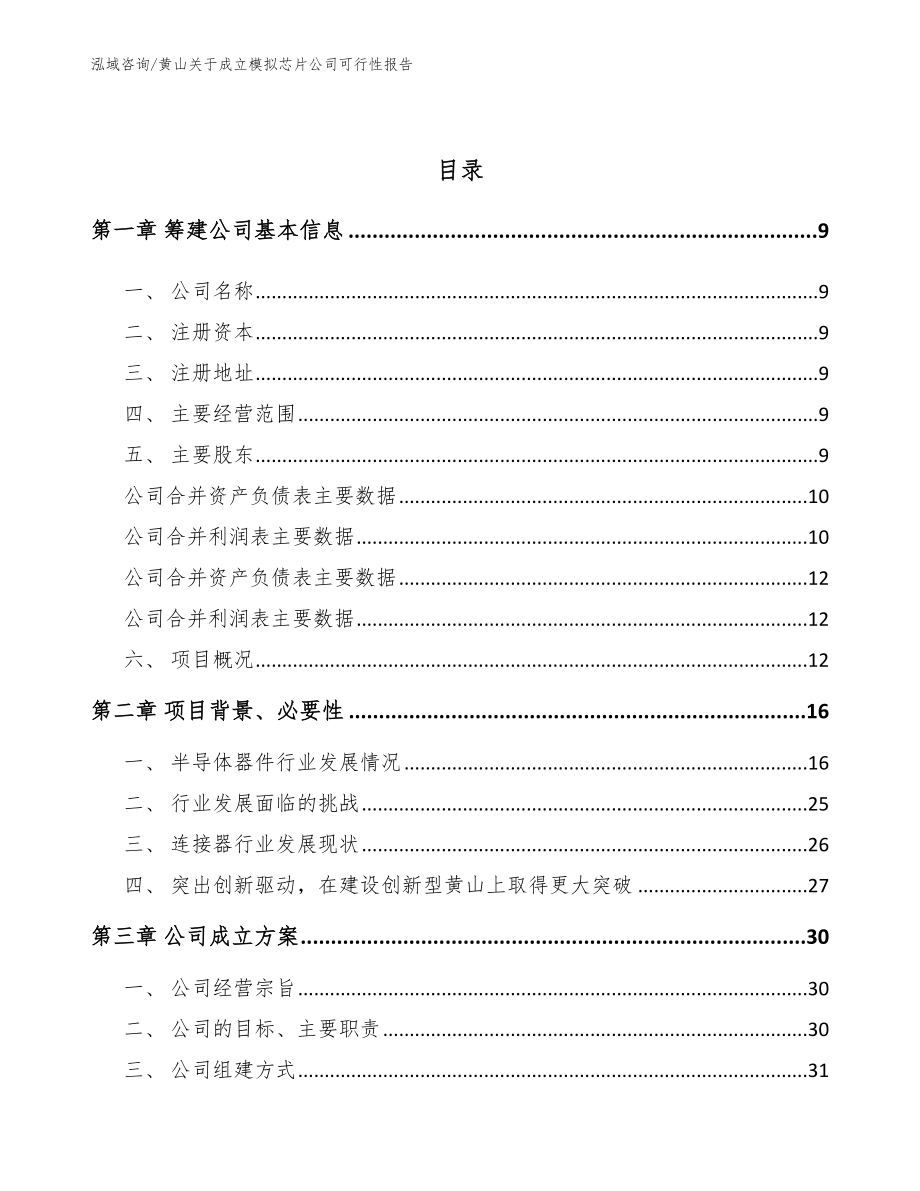 黄山关于成立模拟芯片公司可行性报告【模板参考】_第4页