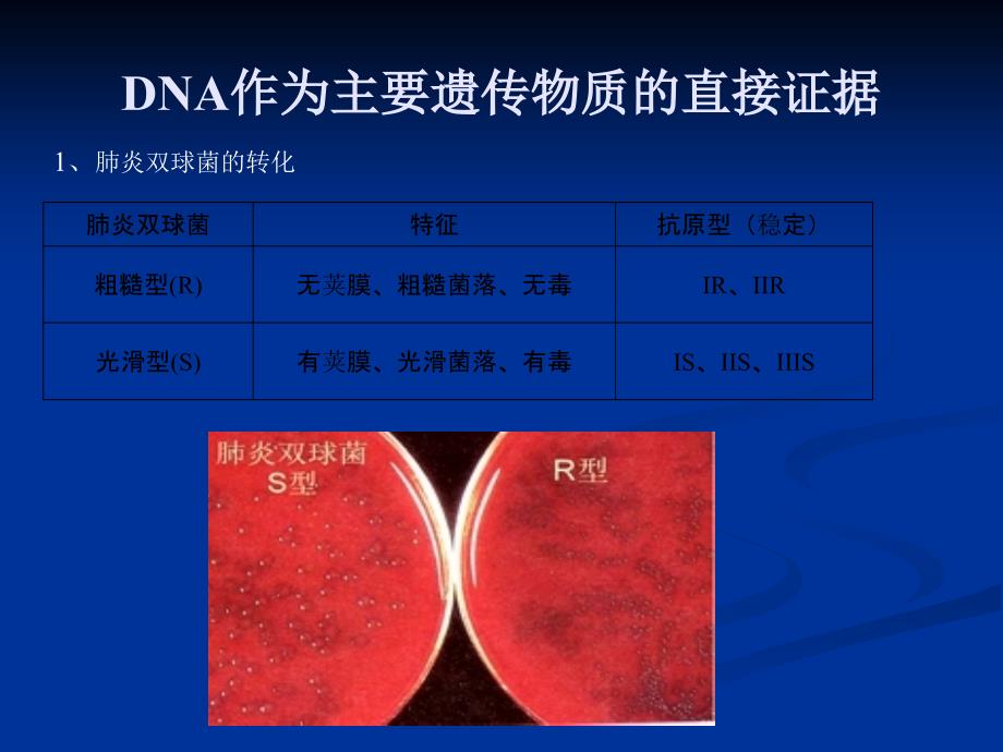 高中生物核心概念高考复习课件DNA作为主要遗传物质_第3页