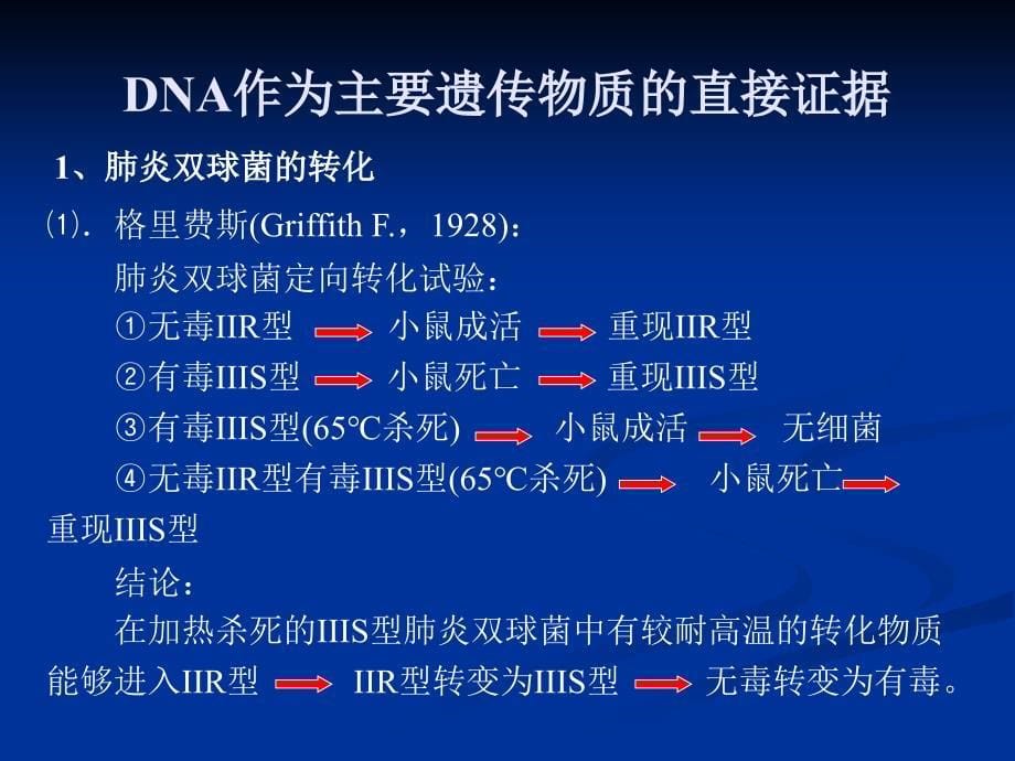 高中生物核心概念高考复习课件DNA作为主要遗传物质_第5页