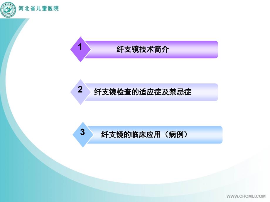 纤维支气管镜在儿科呼吸系统疾病应用摘要课件_第2页