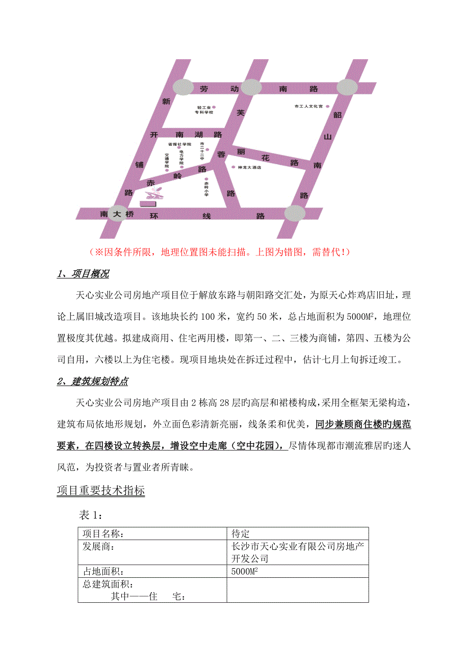 长沙天心实业房地产专项项目专题策划报告_第2页