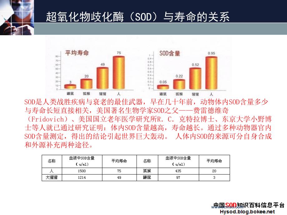 左有权讲座之超氧化物歧化酶(SOD)临床应用——(SOD治疗_第4页