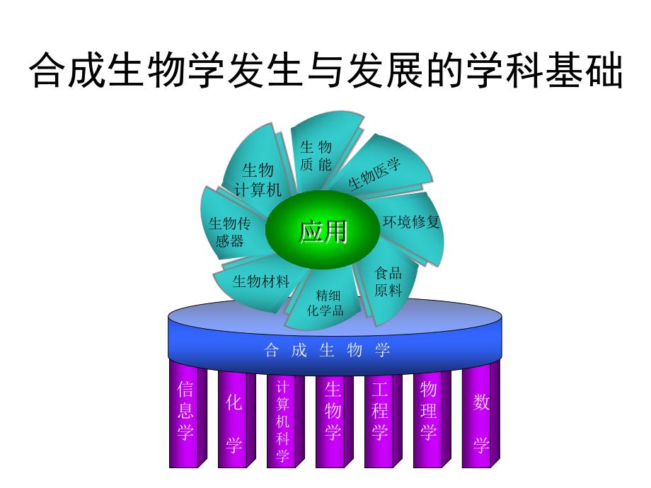 合成生物学简约课件_第3页