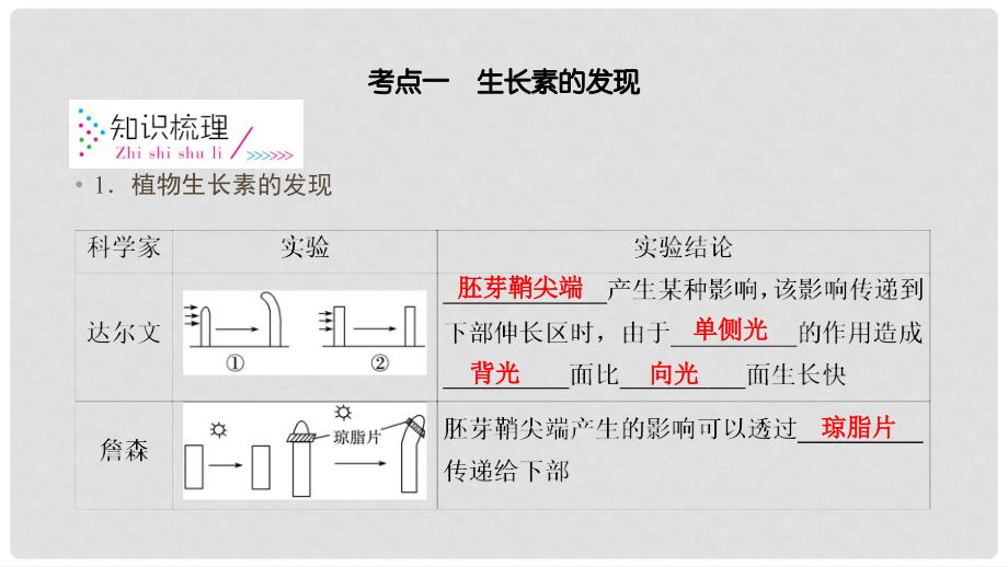 高考生物一轮总复习 第一单元 生命活动的调节与免疫 第5讲 植物的激素调节课件 新人教版必修3_第4页