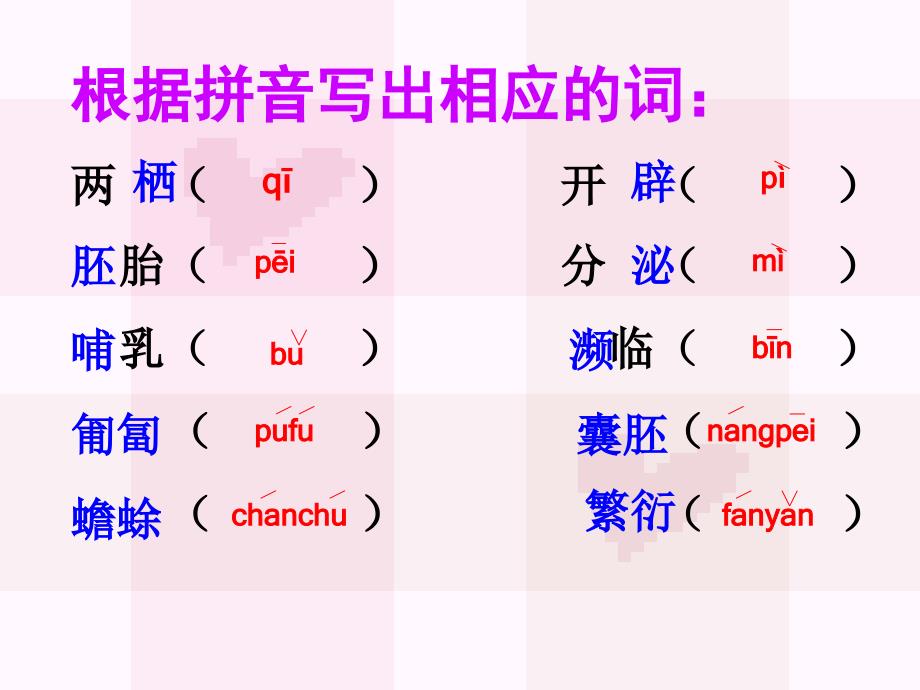 奇妙的克隆公开课ppt课件_第4页