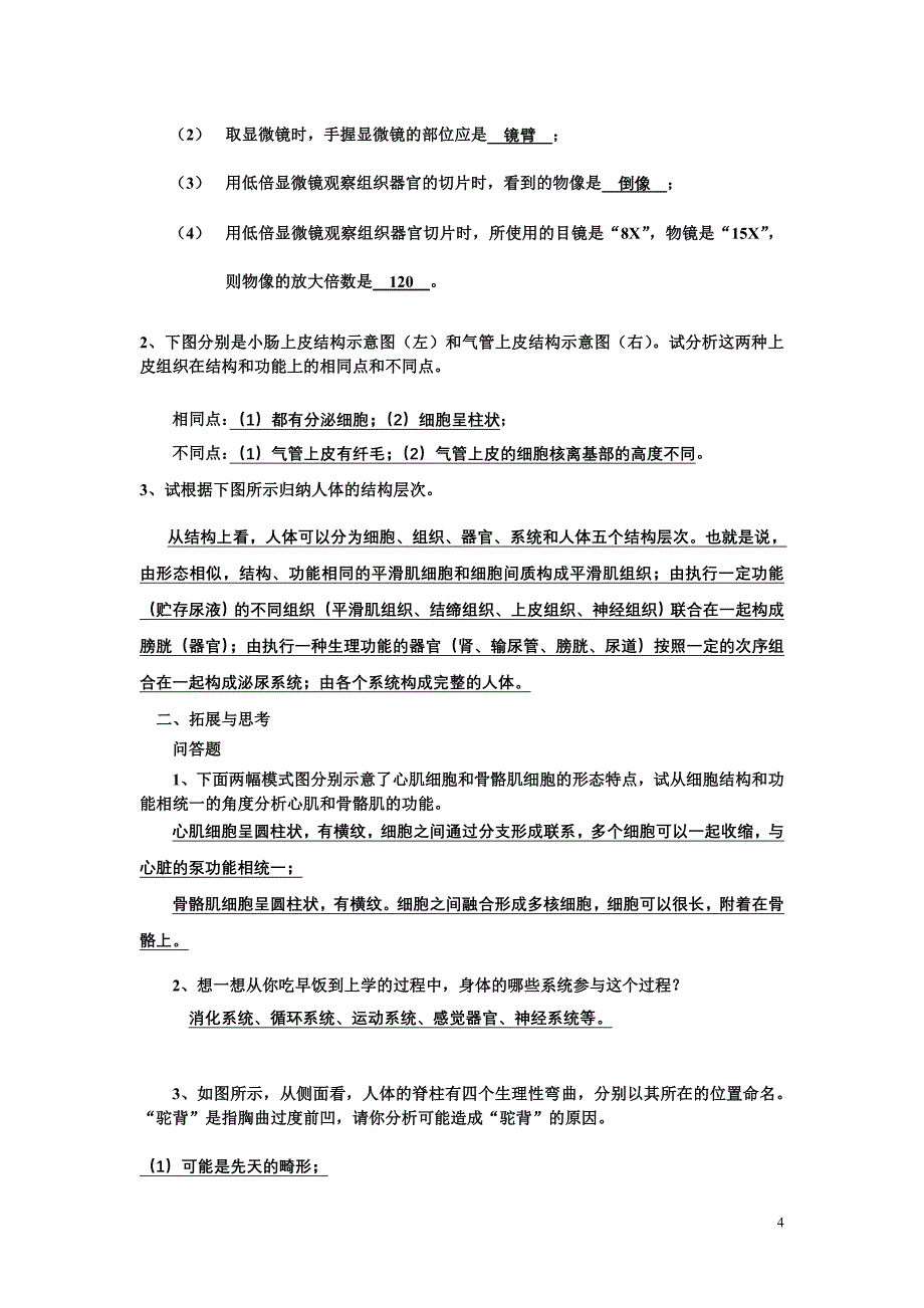 生命科学第一册练习册答案.doc_第4页