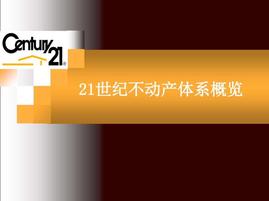 21世纪不动产体系概览-总部版_第1页