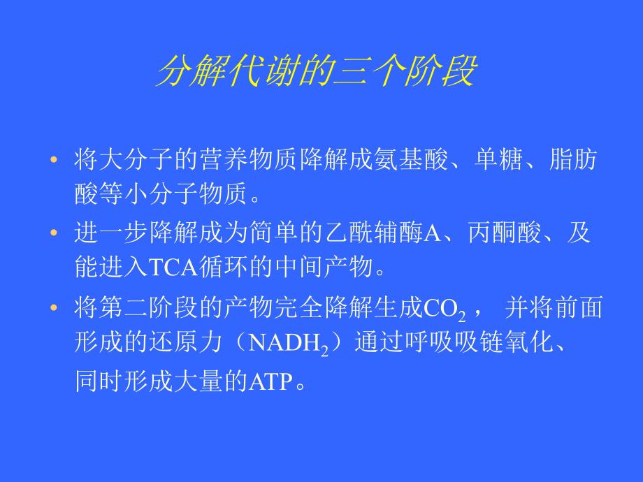 江南大学微生物综合课件_第4页