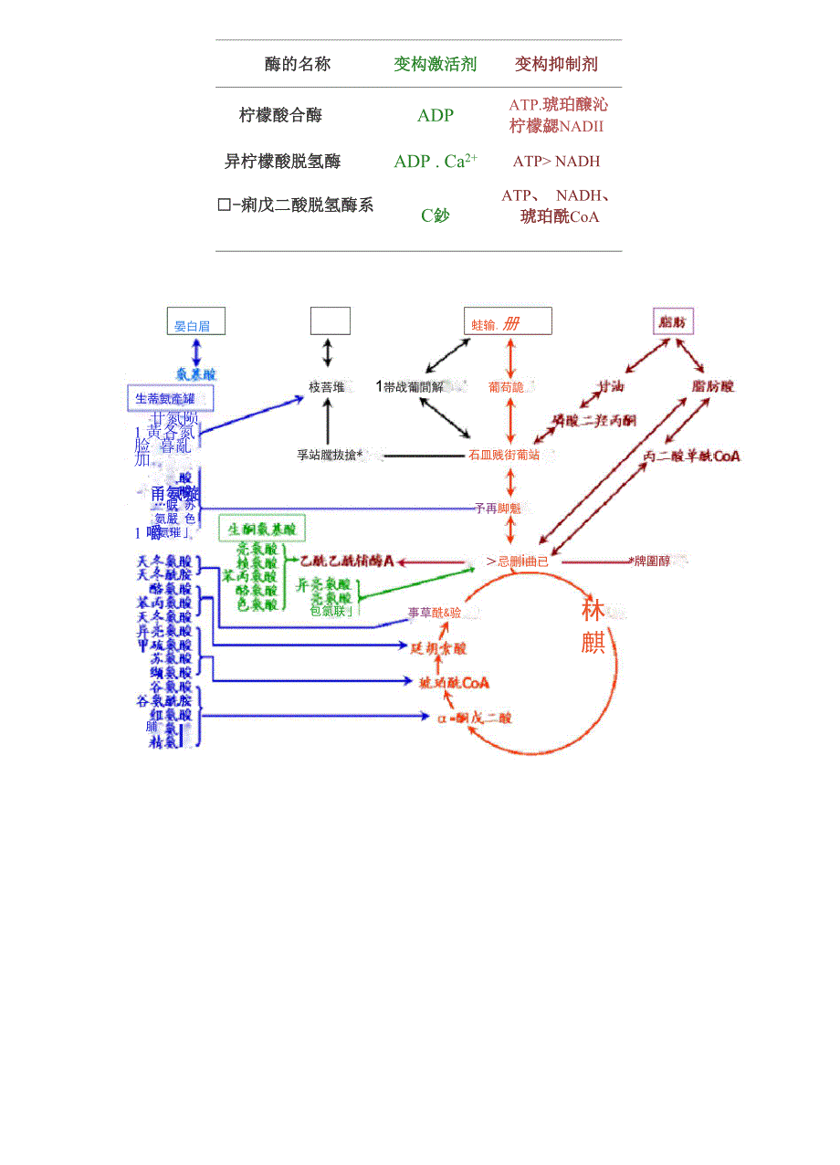 三羧酸循环_第4页