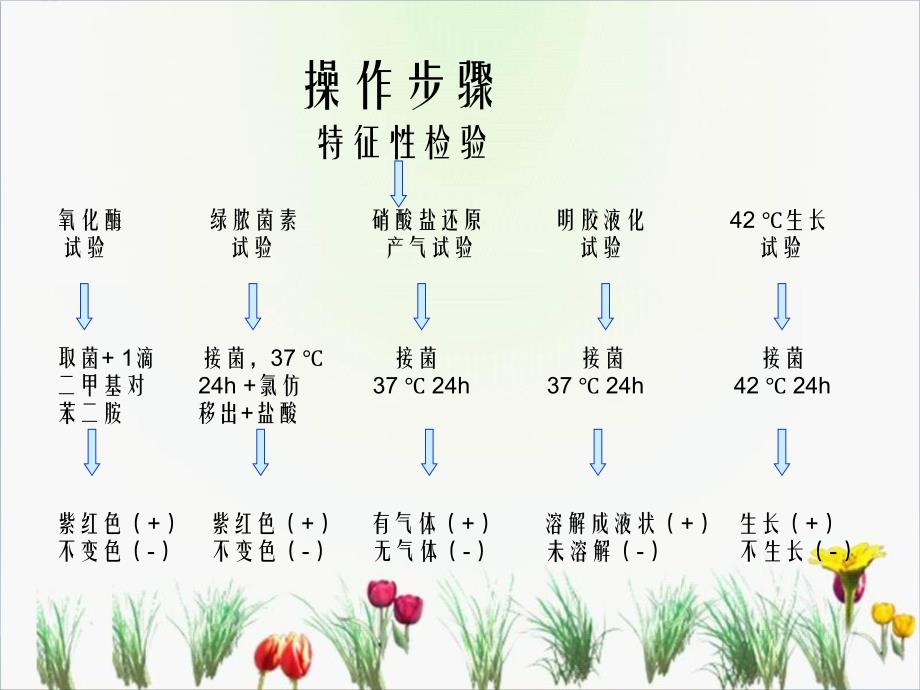 化妆品中铜绿假单胞菌检测_第4页