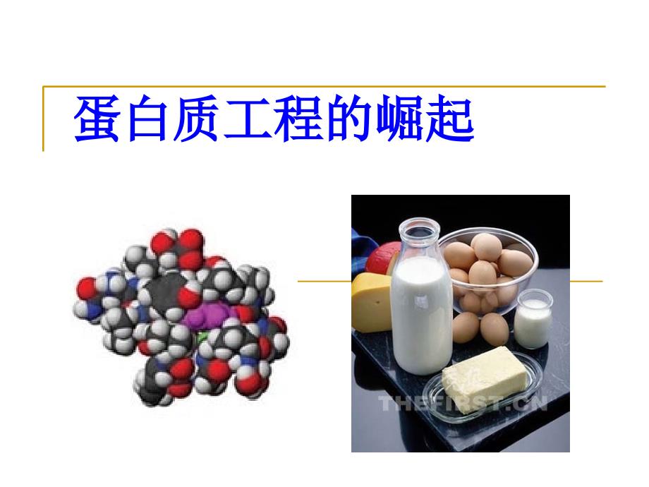 基因工程第一章第四节蛋白质工程的崛起_第1页