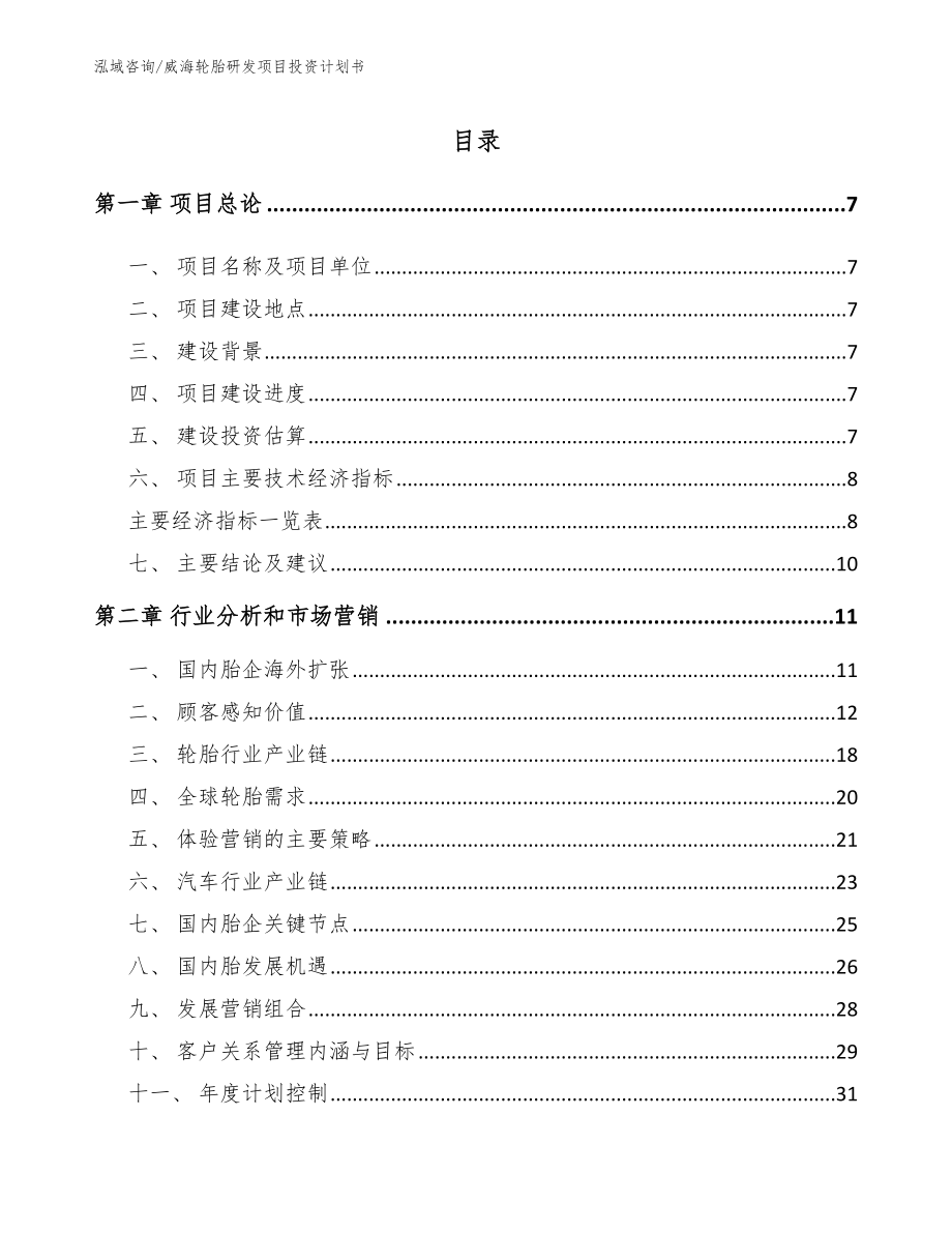 威海轮胎研发项目投资计划书_第1页